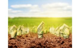 Promoting Agri-Enterprenueship among the Youths in Kenya